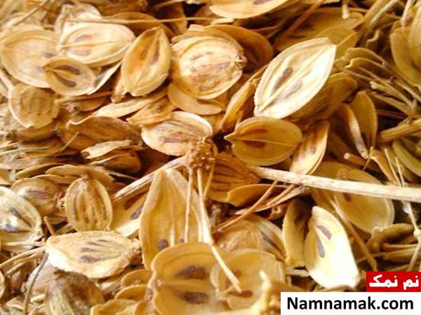 دمنوش گلپر و آویشن