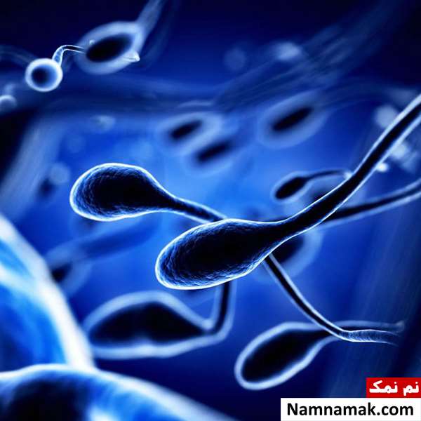 قویترین داروی گیاهی برای اسپرم ضعیف