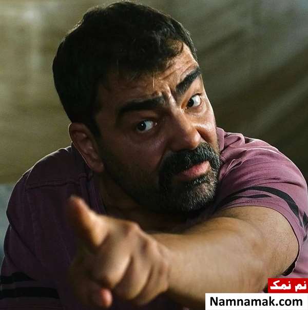 زندگینامه بهزاد خلج و همسرش بهزاد خلج در سریال حیثیت گمشده
