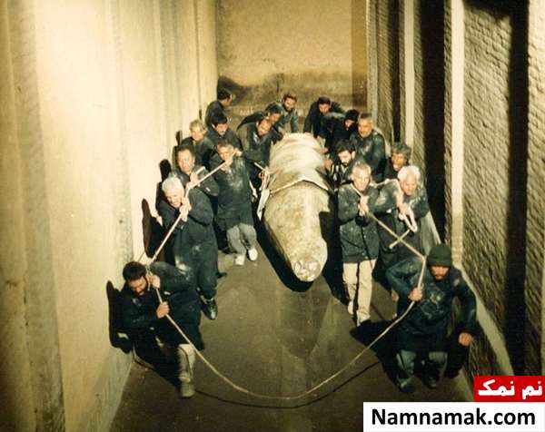 خلاصه داستان و بیوگرافی بازیگران فیلم سینمایی وصل نیکان فیلم وصل نیکان