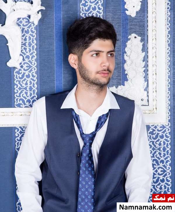 Meysam Salemi Biography And Facts Meysam Salemi Biography And Facts