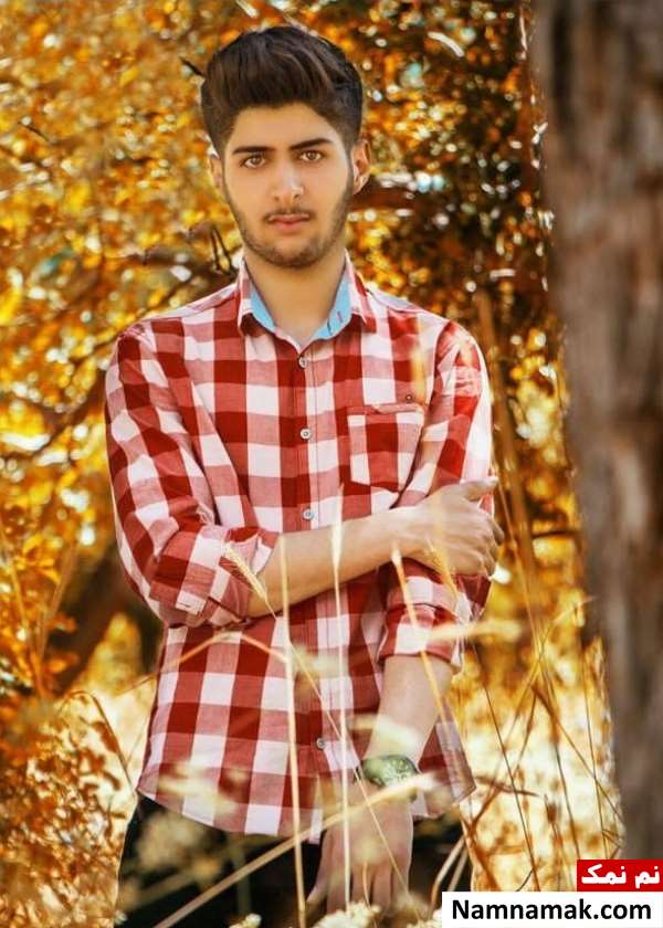 Meysam Salemi Biography And Facts Meysam Salemi Biography And Facts