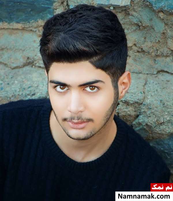 Meysam Salemi Biography And Facts Meysam Salemi Biography And Facts