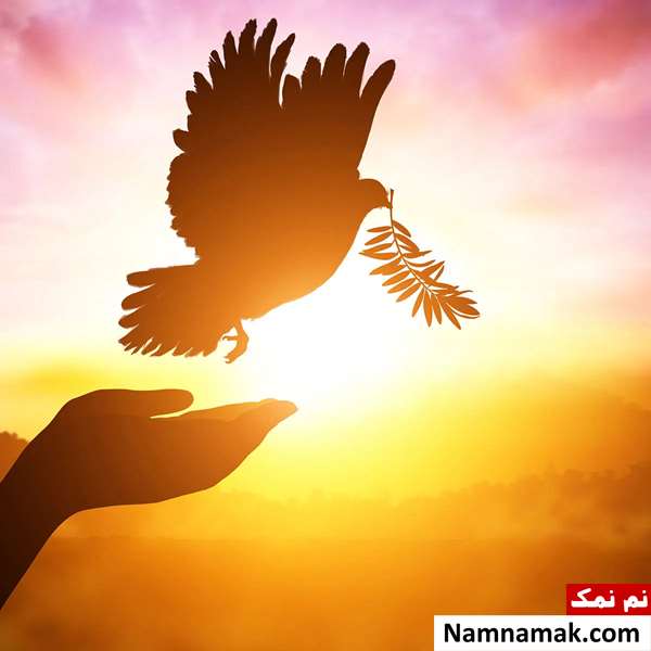 روز جهانی صلح چه روزی است