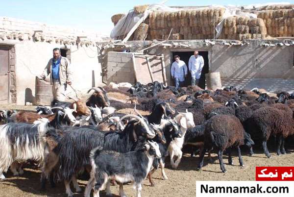 خلاصه داستان و بیوگرافی بازیگران فیلم سینمایی غبار زمان فیلم غبار زمان