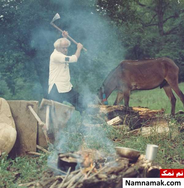 فیلم سینمایی ریشه در خون