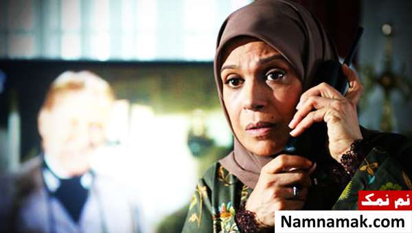 خلاصه داستان و بیوگرافی بازیگران سریال میوه ممنوعه گوهر خیراندیش در سریال میوه ممنوعه