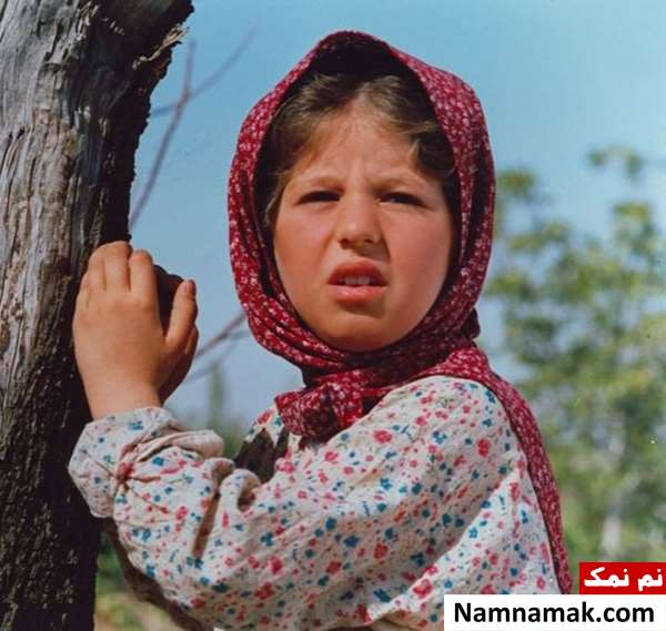 خلاصه داستان و بیوگرافی بازیگران فیلم تولد یک پروانه سپیده کفشدوز جباری در فیلم سینمایی تولد یک پروانه