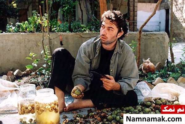 پارسا پیروزفر در فیلم مهمان مامان