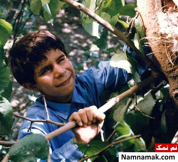 خلاصه داستان و بیوگرافی بازیگران فیلم رنگ خدا محسن رمضانی در فیلم رنگ خدا