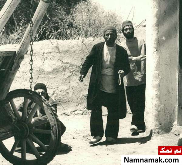 فیلم گاو