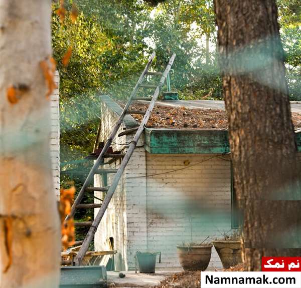 خانه داریوش مهرجویی خانه داریوش مهرجویی
