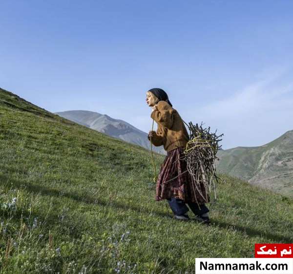 خلاصه داستان و بیوگرافی بازیگران فیلم کوتاه دد چوپان فیلم کوتاه دد چوپان