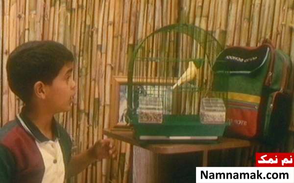 فیلم قناری