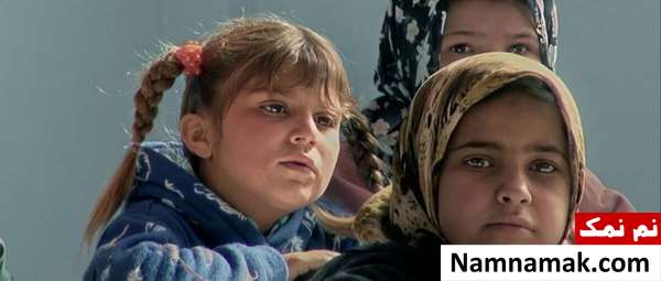 مستند کوتاه چوب