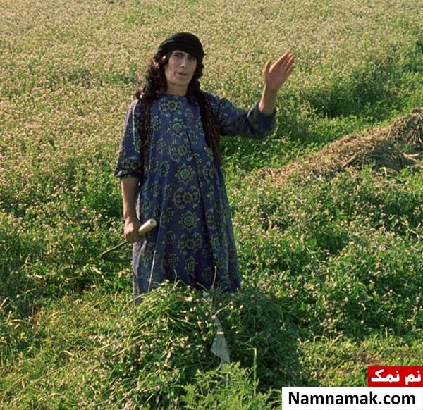 فیلم باد ما را خواهد برد