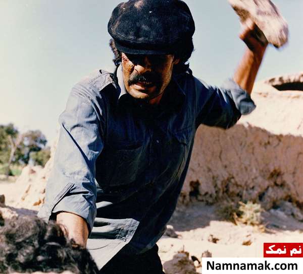 خسرو شکیبایی در فیلم دزد و نویسنده