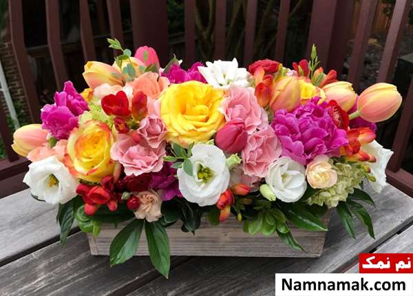 نحوه نگهداری گلهای بهاری نحوه نگهداری گلهای بهاری