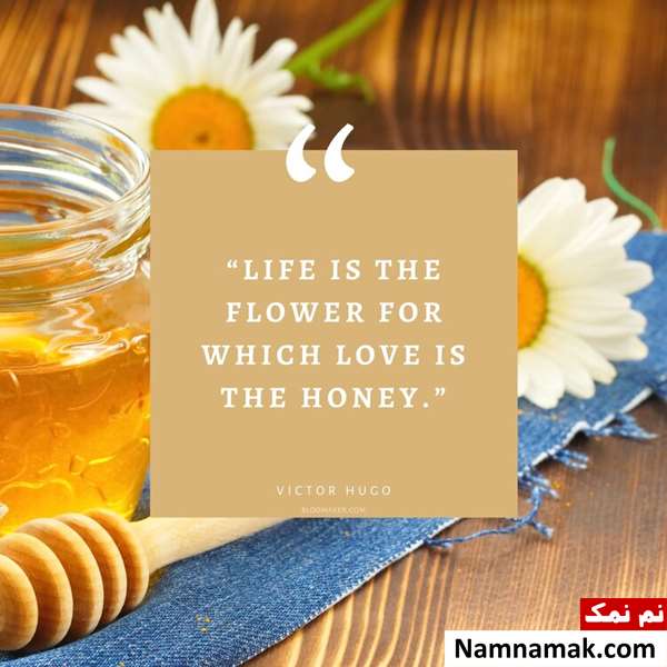 متن و جملات زیبا و مفهومی انگلیسی