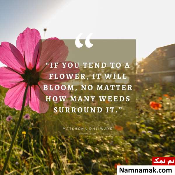 متن و جملات زیبا و مفهومی انگلیسی