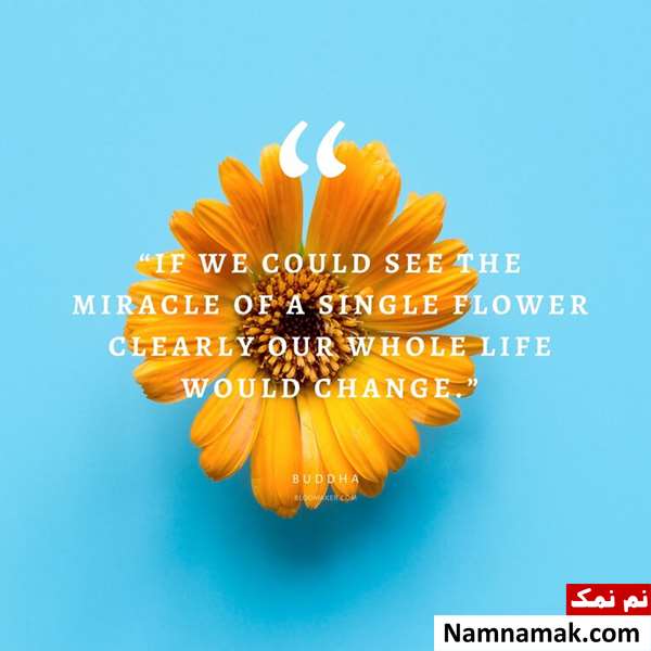 متن و جملات زیبا و مفهومی انگلیسی