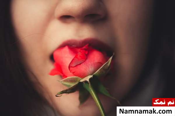 فواید و خواص گل محمدی