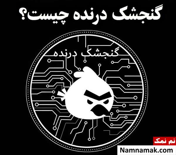 گروه هکری گنجشک درنده