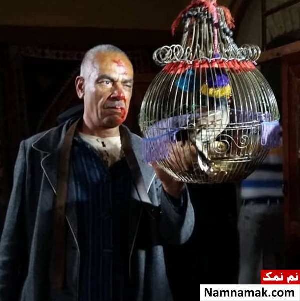 رضا نجفی بازیگر نقش سیمون در بانوی عمارت