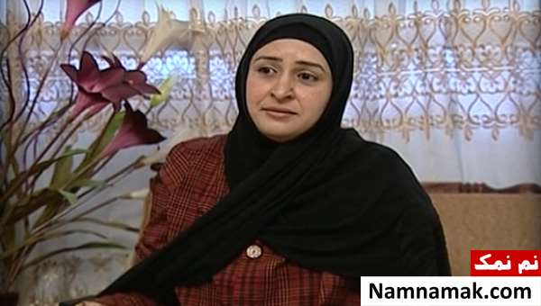 خلاصه داستان و بیوگرافی بازیگران سریال دفترچه خاطرات سریال دفترچه خاطرات