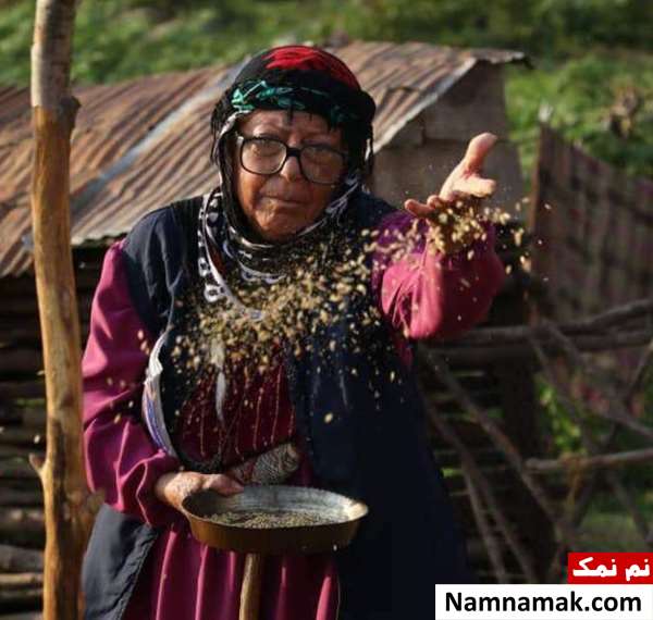 خلاصه داستان و بیوگرافی بازیگران فیلم دوچ فیلم دوچ