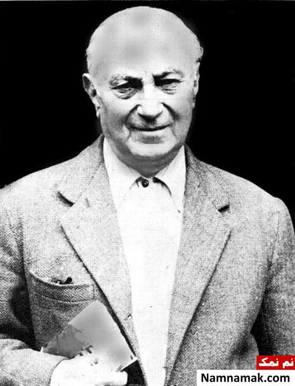 محمدعلی جمالزاده