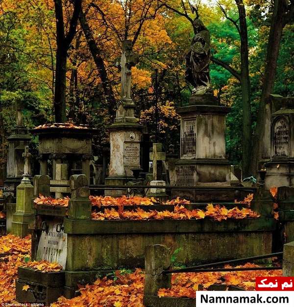 گورستانی در بوئنوس آیرس