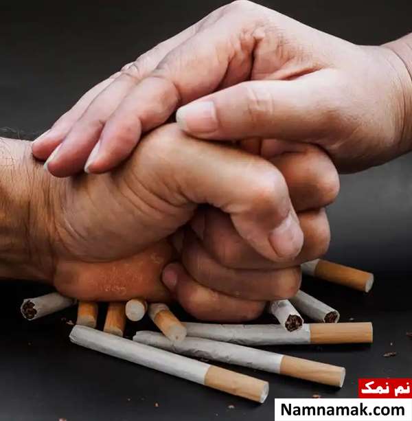 گیاه لوبلیا
