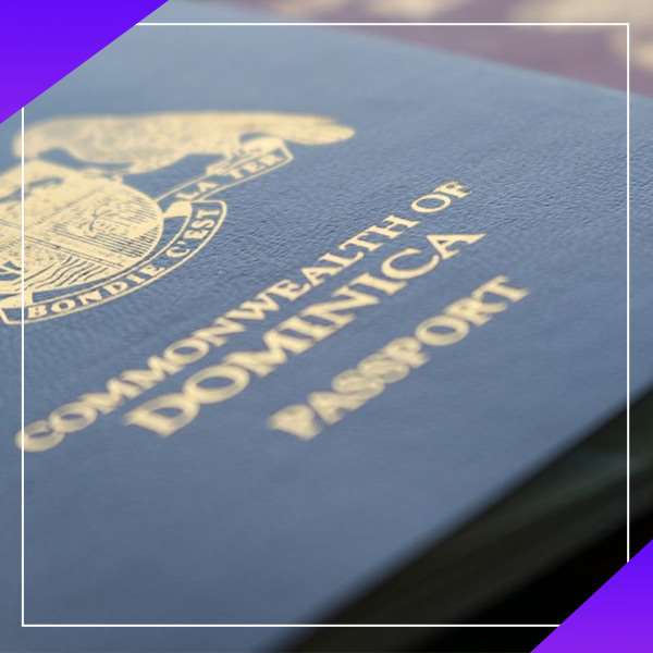 ثبت انواع شرکت در دبی 2024 