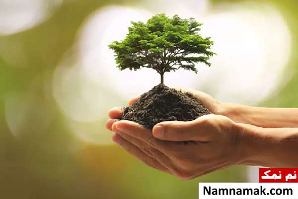 تاریخچه روز درختکاری تاریخچه روز درختکاری