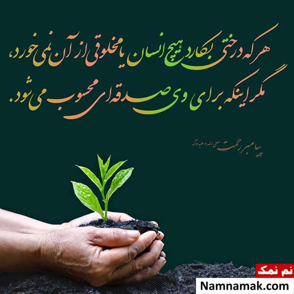 متن روز درختکاری