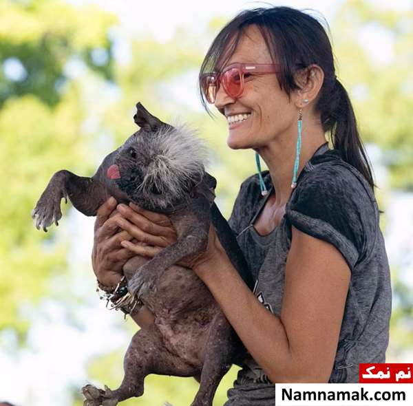 مسابقه زشت ترین سگ دنیا