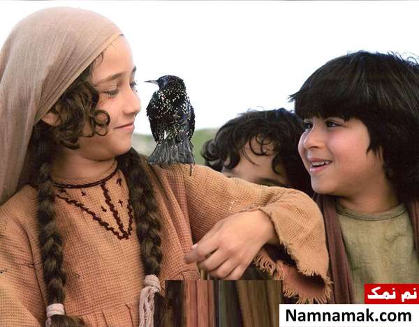 فیلم ملک سلیمان