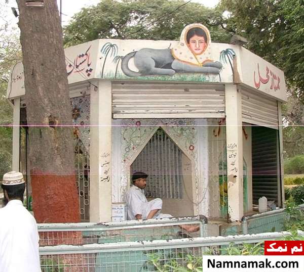 زنی که روباه شده و در باغ وحش شیراز است