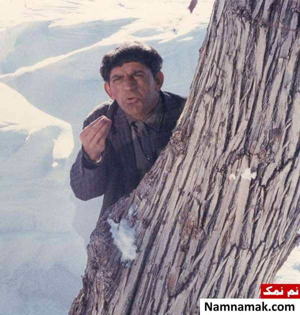 خلاصه داستان و بیوگرافی بازیگران فیلم سینمایی جاده های سرد حمید جبلی در فیلم جاده های سرد
