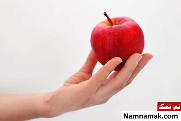 ضرب المثل سنگی که به هوا می رود تا برگردد هزار چرخ میخورد