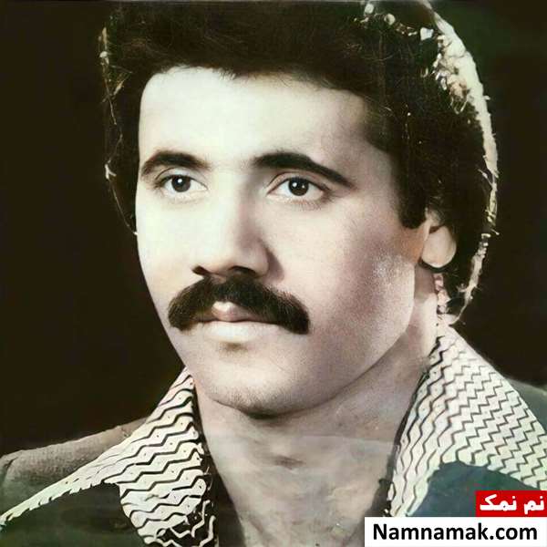 عکس جوانی معین