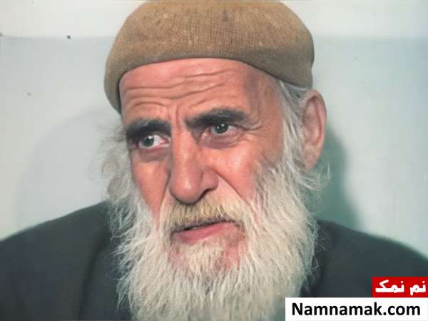 خلاصه داستان و بیوگرافی بازیگران فیلم آن سفر کرده محمدتقی کهنمویی در فیلم آن سفر کرده
