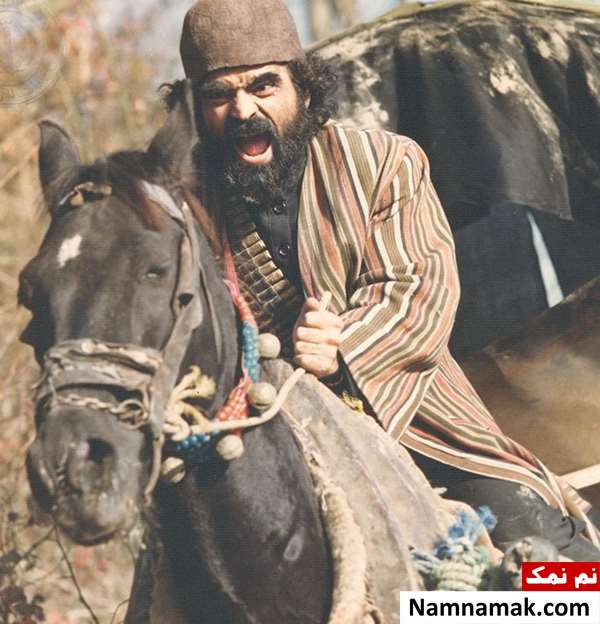 خلاصه داستان و بیوگرافی بازیگران فیلم ایرانی تفنگدار مهدی فخیم زاده در فیلم تفنگدار