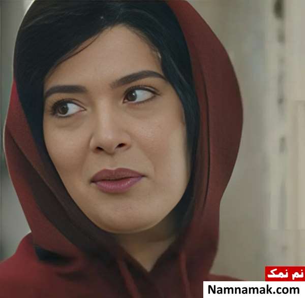 خلاصه داستان و بیوگرافی بازیگران سریال داریوش ژیلا شاهی در سریال داریوش