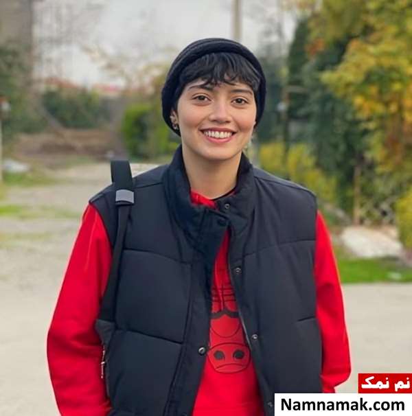 حدیث نظری