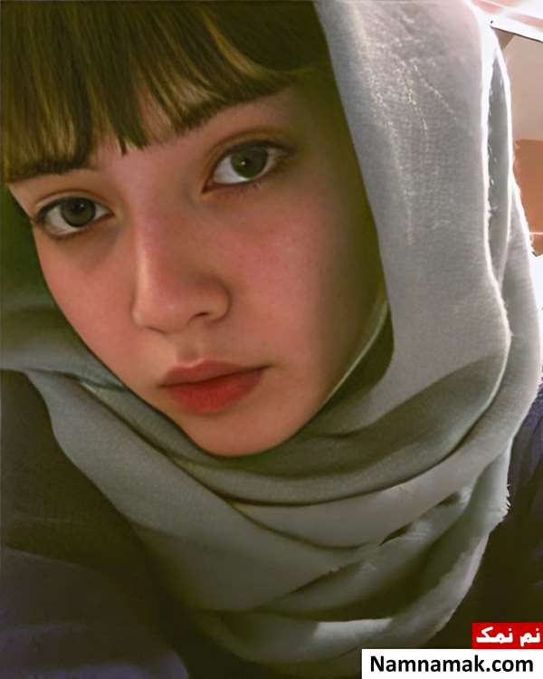 حدیث نظری