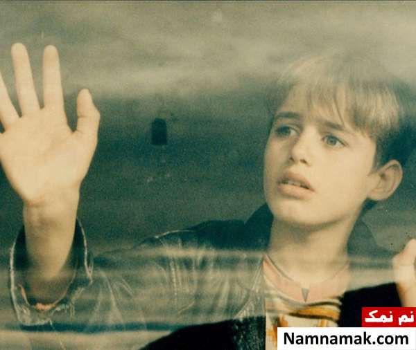 فیلم بید و باد