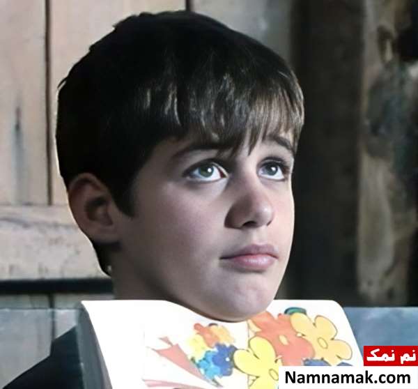 فیلم بید و باد