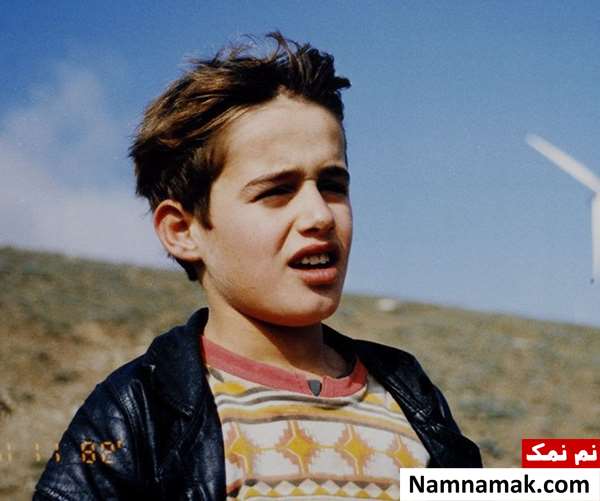 فیلم بید و باد